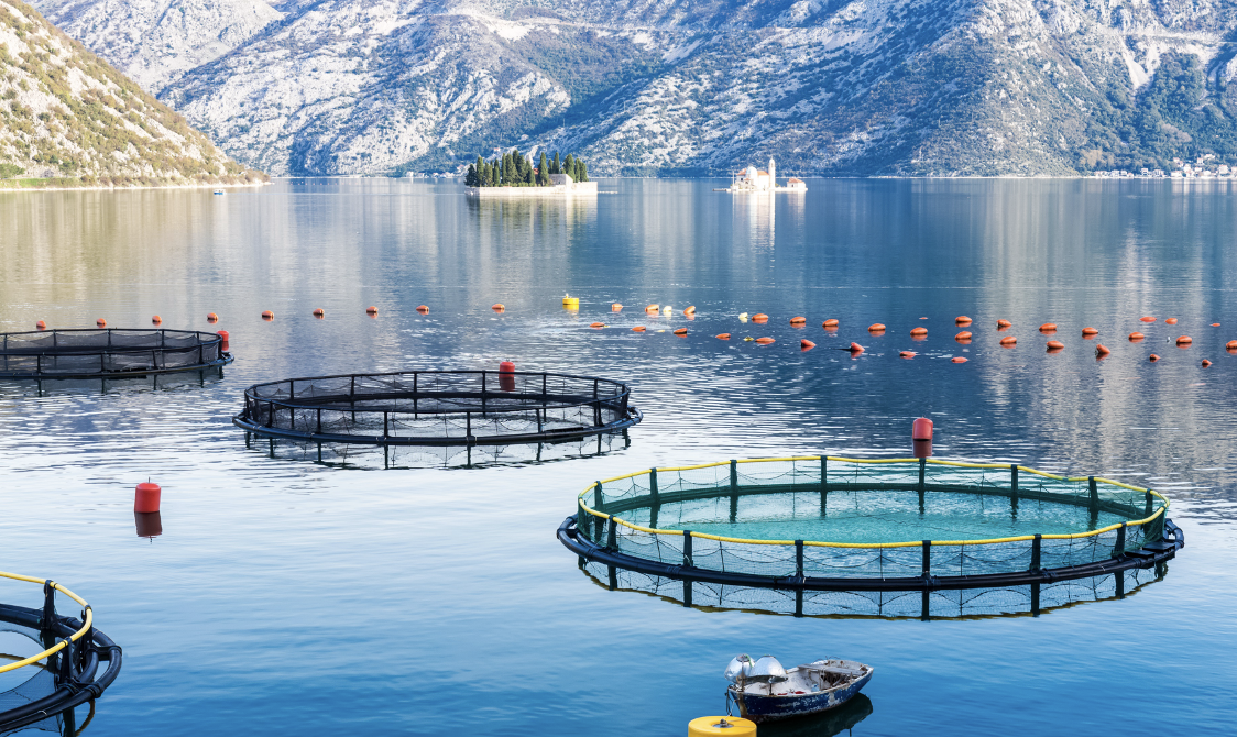Solutions for Sea Pens